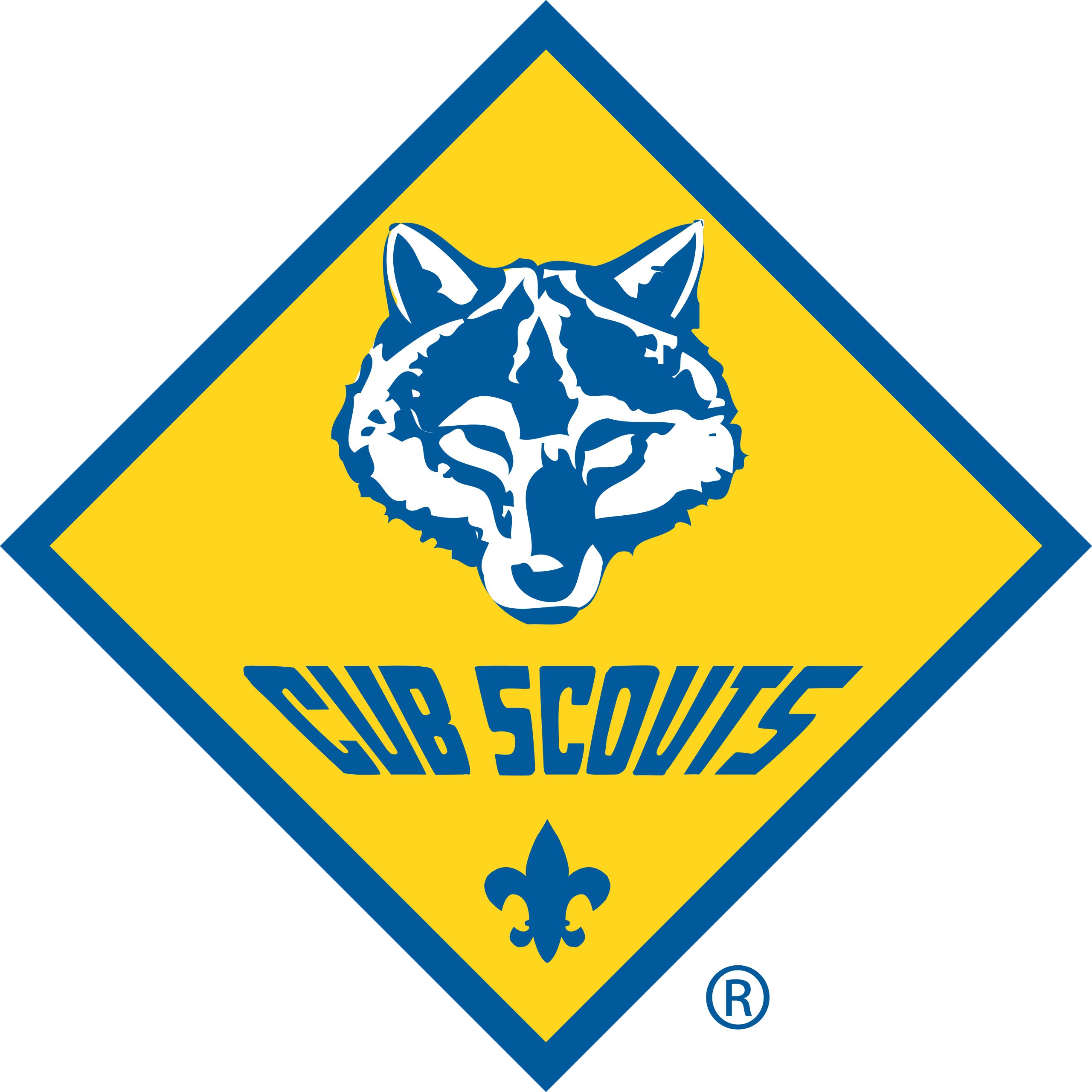 Cub Scout Family Pack 999